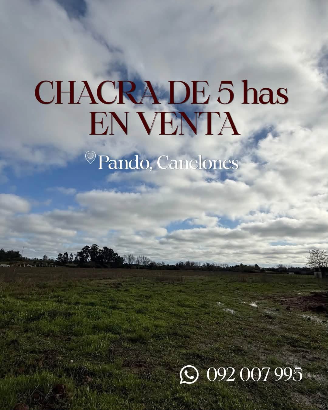 Aviso de la chacra de 5 hectáreas en venta en Pando